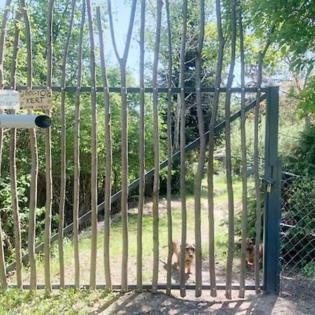 ナジュマロシュBogyo Kertアパートメント エクステリア 写真